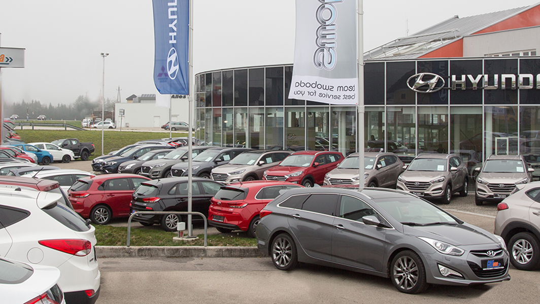 Bild Automobile Swoboda Regau