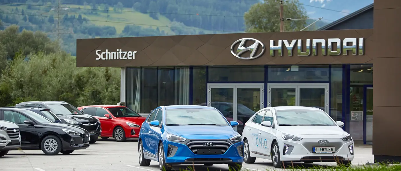 Bild Schnitzer GesmbH