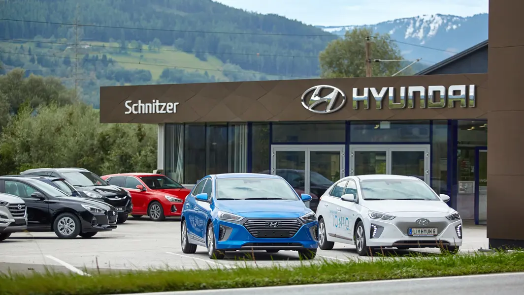 Bild Schnitzer GesmbH