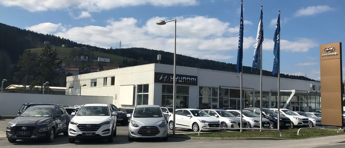 Bild Papst Ges.m.b.H.