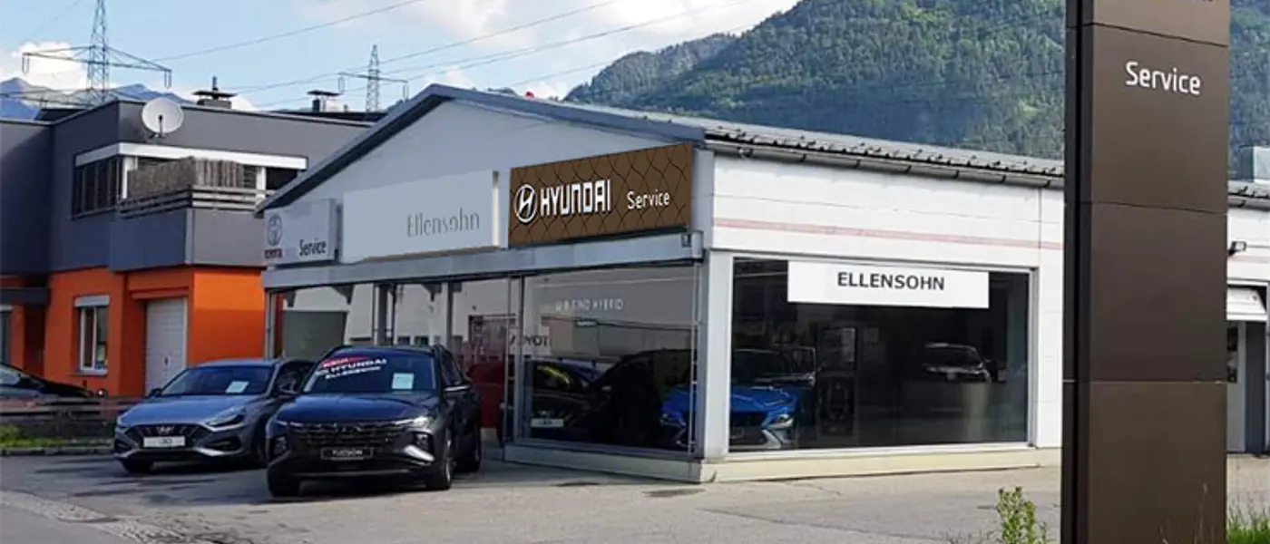 Bild Manfred Ellensohn GesmbH