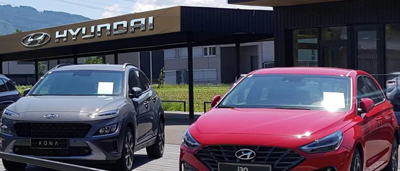 Bild Manfred Ellensohn GesmbH