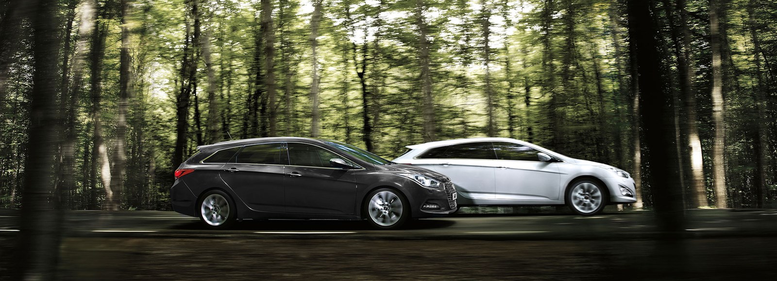 hmc-vf-forest-driving-gr