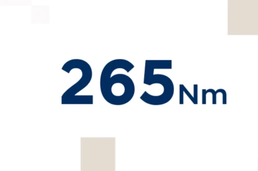 Hyundai KONA ICE Key Facts Icon 265 Nm 4X3