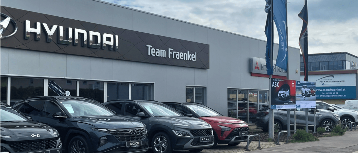 Bild Ing. Fraenkel & Kirchner GmbH