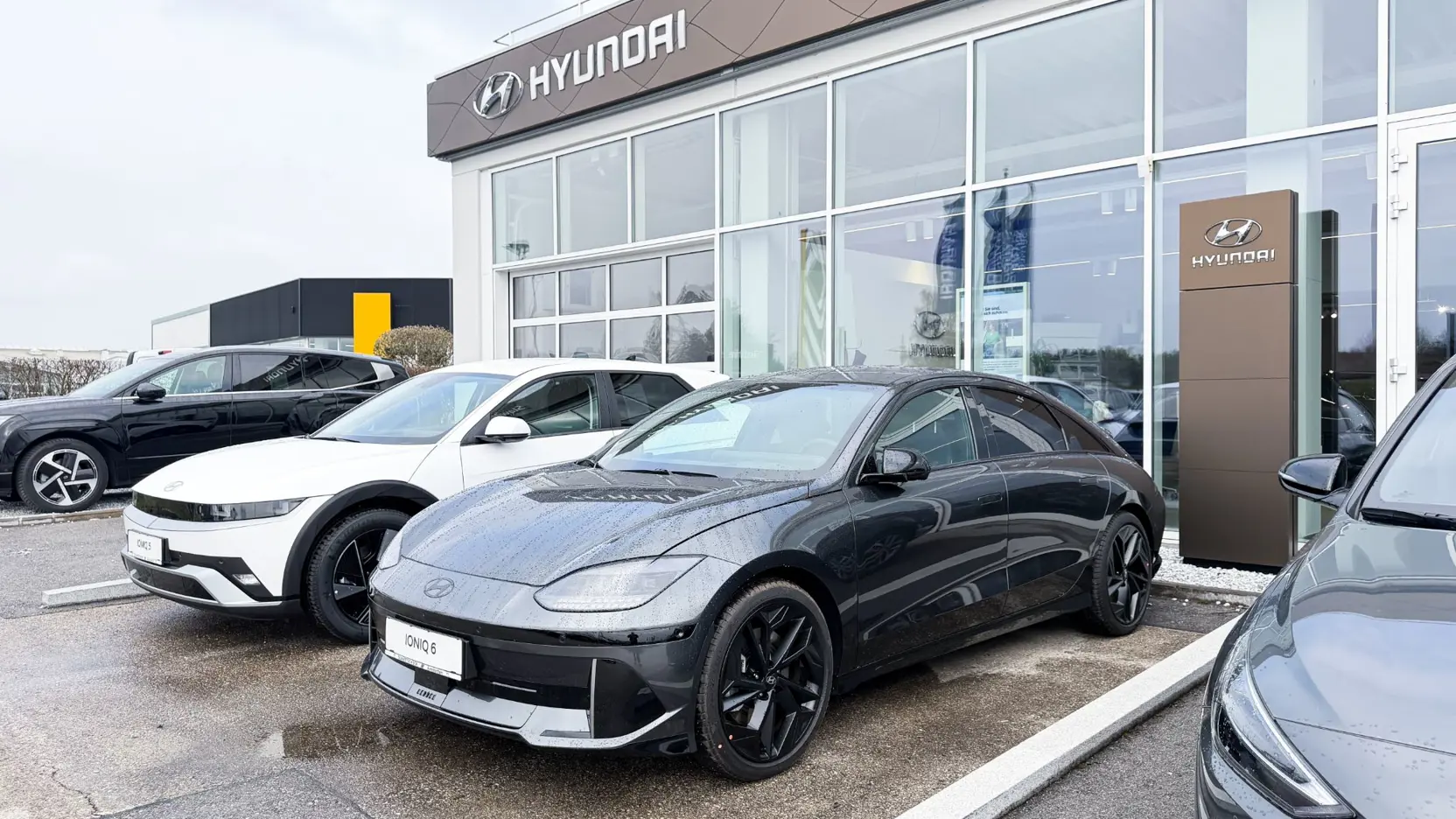 Design Ohne Titel (13)