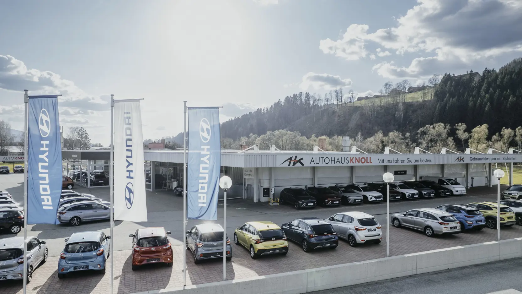 Autohaus Knoll 3000Px 72Dpi (C) Nicoleseiser At 324