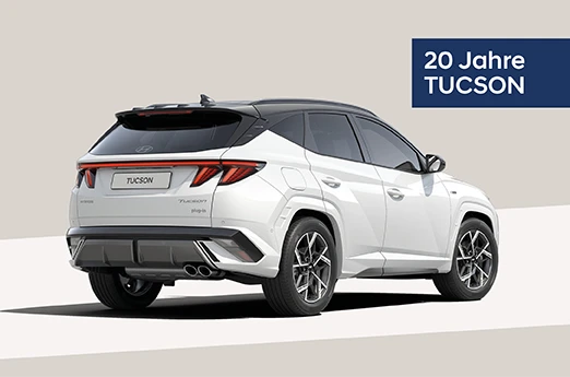 20 jahre hyundai tucson weiß heck